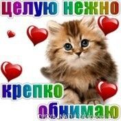 Открытка крепко целую и обнимаю, как жаль